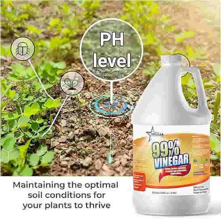 Natural Elements 30% Vinegar – 4 Gallons, Industrial Strength Cleaner For Home & Garden, 6x Stronger Than Regular