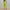 Yellow, variant on Ichuanyi Womens Jumpsuits, Women's Jumpsuits Women's Overalls With Suspenders And Printing Casual Jumpsuit