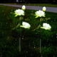 thumbnail image 1 of Solar Garden Lights Outdoor - Pack de dos luces impermeables LED para estacas para jardines, patios y caminos, 1 of 7