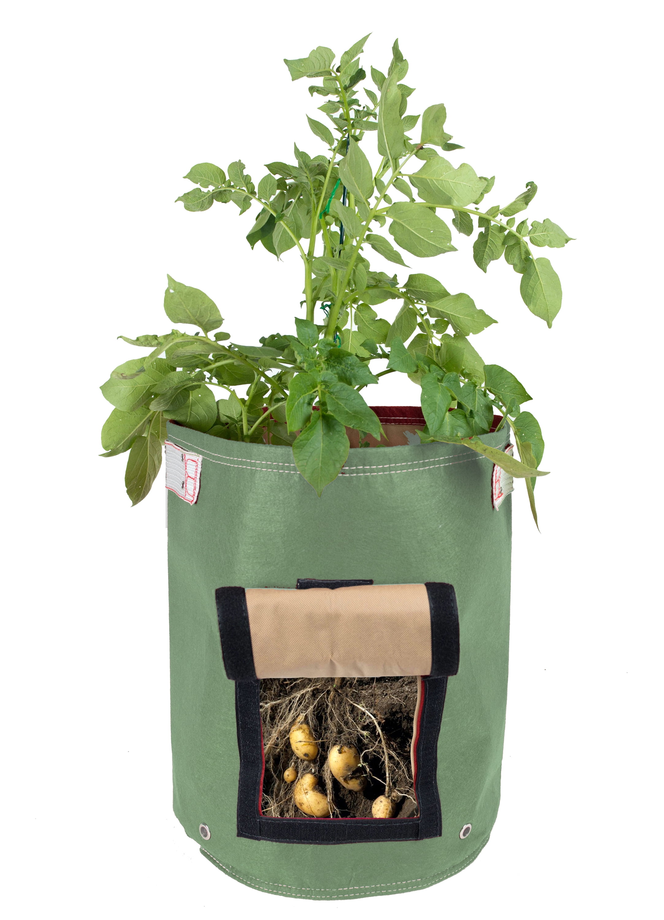 BloemBagz Potato Vegetable Planter Grow Bag 9 Gallon Living Green by Bloem