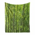 thumbnail image 1 of Bamboo Print Soft Flannel Fleece Throw Blanket, Exotic Tropical Forest Fresh Color Nature Wild Trees and Leaves, Cozy Plush for Indoor and Outdoor Use, 50" x 60", Green, by Ambesonne, 1 of 6