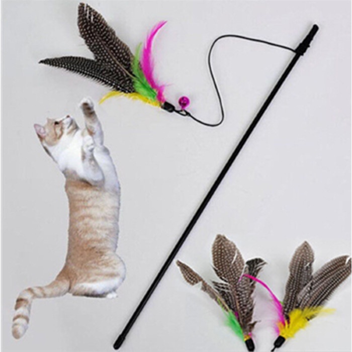 Cute Funny Pop Kitten Cat Pet Toy Wire Chaser Wand Teaser Stick String