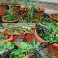 thumbnail image 2 of Sistema de riego para jardín Laklulu, kit de riego automático por microgoteo, sistema de riego por goteo para plantas de jardín (manguera de goteo de 30 m), 2 of 3