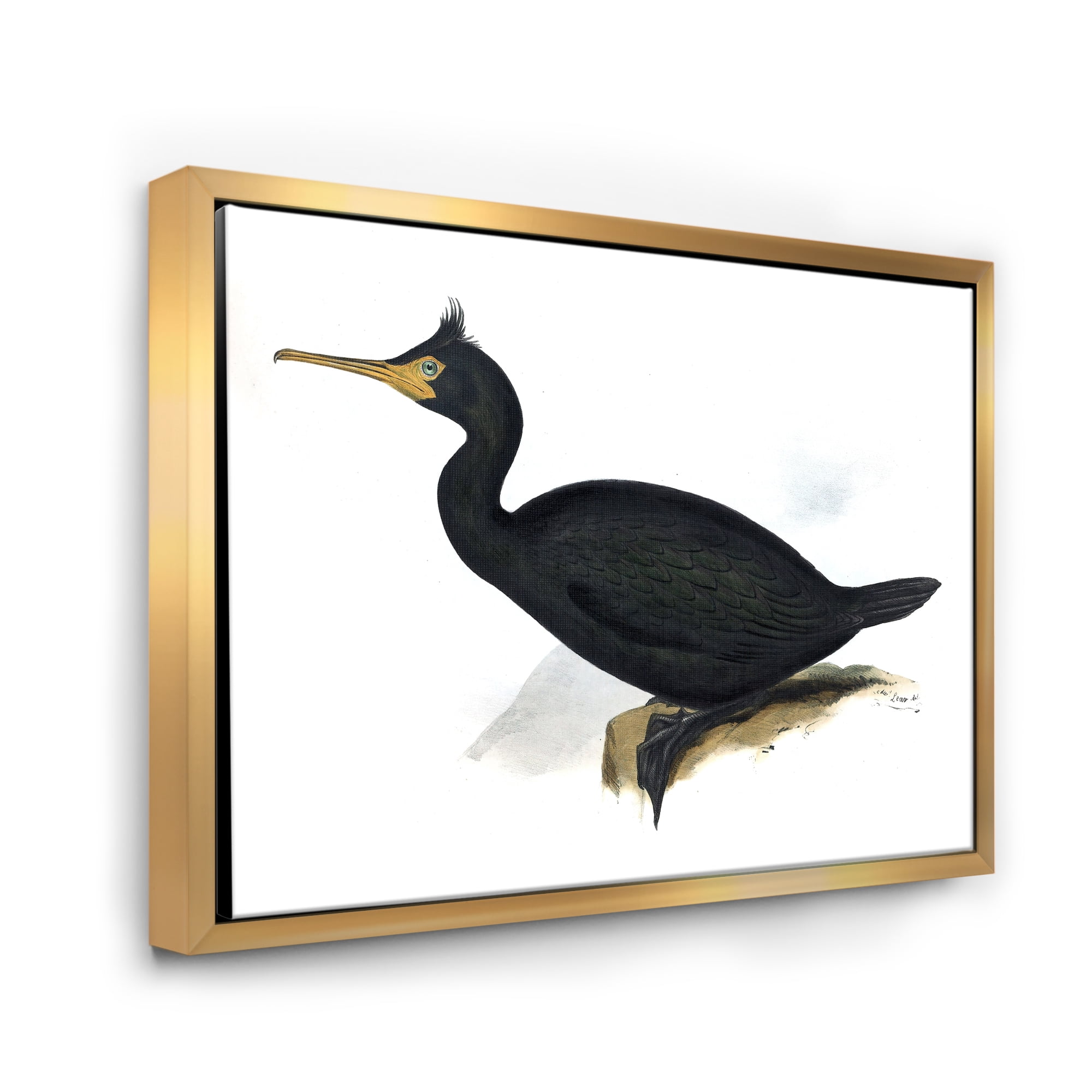 Designart 'Ancient Bird Life IV' Traditional Framed Canvas Wall Art Print
