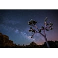 thumbnail image 4 of Joshua Tree, Milky Way (19x27 inches, Premium 500 Piece Jigsaw Puzzle for Adults and Family, Made in USA), 4 of 4