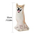 thumbnail image 3 of Customized Pet Pillow with Personalized Shape, Featuring Pets/Pictures/Characters - (Double-Sided Printing) C 33-35Cm, 3 of 10