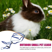 Homoyoyo Small Animal Pet Leash Set, Adjustable and , Ideal for , Guinea Pigs, Hamsters, 1 Piece