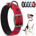 thumbnail image 1 of Collar de perro PetiFine Heavy Duty con hebilla de metal para perros pequeños, 1 of 7