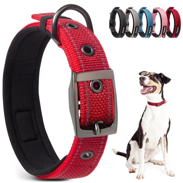 Collar de perro PetiFine Heavy Duty con hebilla de metal para perros pequeños