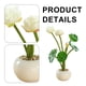 thumbnail image 3 of Whataatahia Lotus pequeño bonsái redondo plantas falsas decoración interior flores falsas simulación plantas verdes, 3 of 5