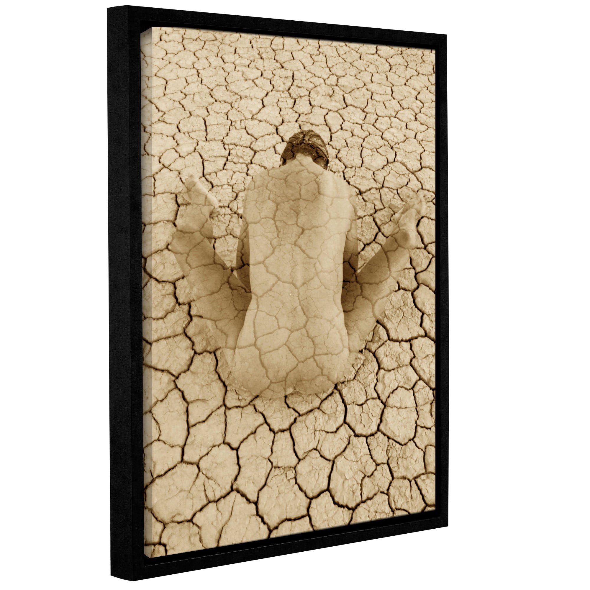 ArtWall Elena Ray "The Clay Pot" Gallery-Wrapped Floater-Framed Canvas