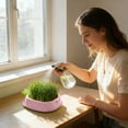 thumbnail image 2 of Tauxra Pineapple Shaped Hydroponic Nursery Tray Soils Free Countertop Decoration For Easy Sprouting, 2 of 6