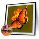 thumbnail image 2 of 5D animal mariposa círculo completo diamante pintura diamante Hugtrwg Para estrenar, 2 of 9