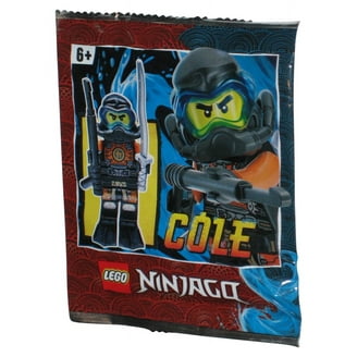 LEGO Ninjago Jumping Snakes Jay ZX Minifigure 30085 - Walmart.com