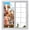 Brown, variant on Cartoon Animal Pattern Window Privacy Film, Cow Sheep Horse Pig Kitten Rustic Farmhouse Frosted Glass Window Clings Static Cling UV Heat Blocking Reusable Door Sticker for Bathroom 19.6 x 39.3 Inch