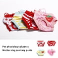thumbnail image 3 of fastboy Pet physiological pants, female dog sanitary pants, 3 of 6