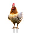 thumbnail image 1 of asddcavvf Christmas Animal Outdoor Garden Chicken Ground Plug Decoration Outdoor Christmas Animal Ground Plug 2D Small Garden Flags for outside with Sign Language Garden Label Outdoor Metal Cards for, 1 of 4