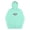 Mint, variant on Santa Cruz Surf Shop Pullover Premium Mens Hoodie