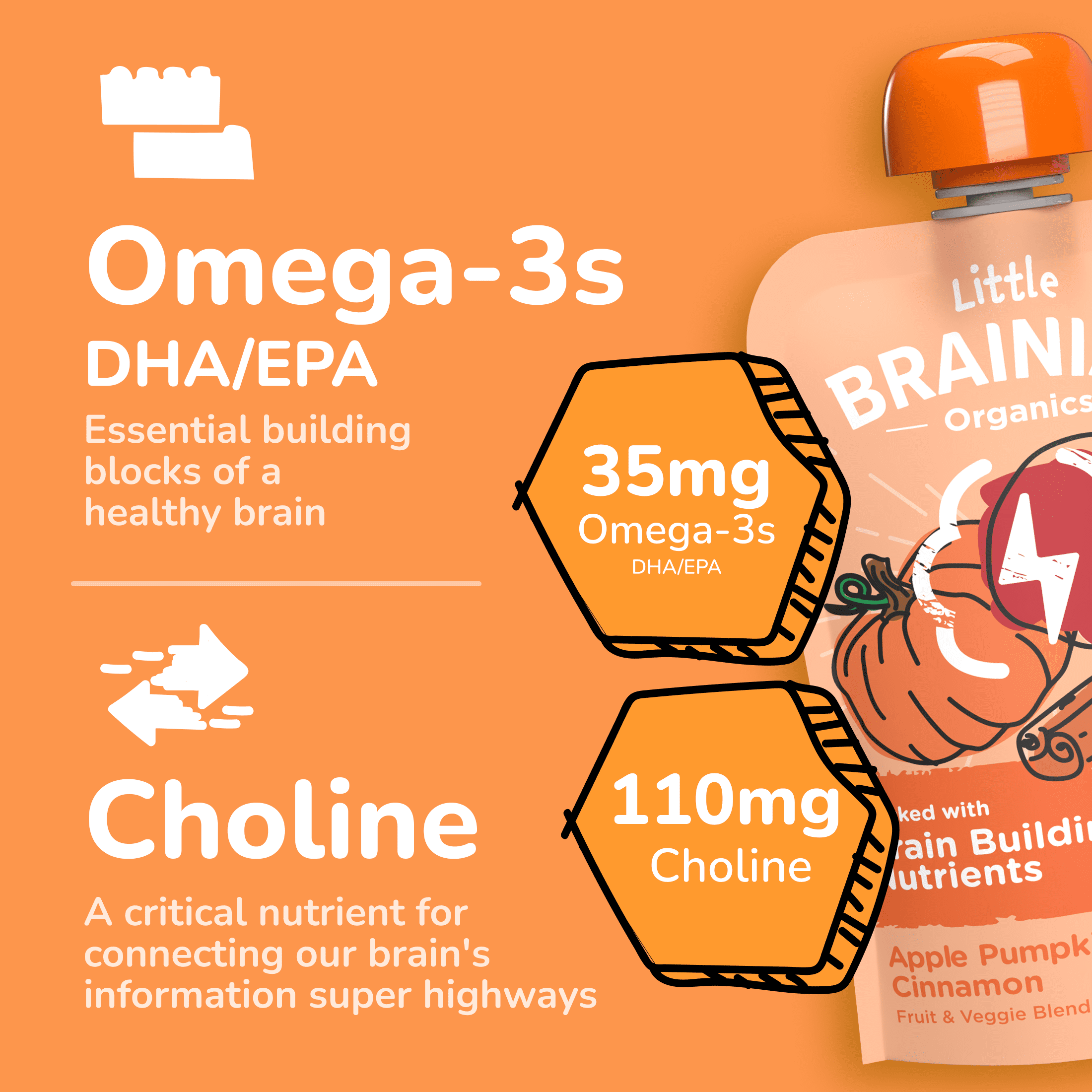 Little Brainiac Organic Fruit & Veggie Baby Food Pouch with Omega-3s, Apple Pumpkin Cinnamon, 3.5oz, 6ct
