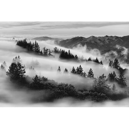 Dreamland, Black and White, Fog at Mount Tamalpais, Marin, Bay Area San Francisco Misty Mountain Photography Print Wall Art By Vincent