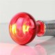 thumbnail image 4 of Accesorios de bombilla roja Naiovety para mascotas 220-240V bombillas para reptiles, 4 of 6