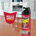 thumbnail image 4 of 2 Pack - Raid Ant & Roach Spray Outdoor Fresh 17.50 oz, 4 of 6