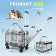 thumbnail image 6 of AMTPM Pet Carrier with Wheels for Cats, Cat Carrier with Telescopic Handle, Collapsible Rolling Pet Travel Bag Carrier for Airline Approved, 6 of 9