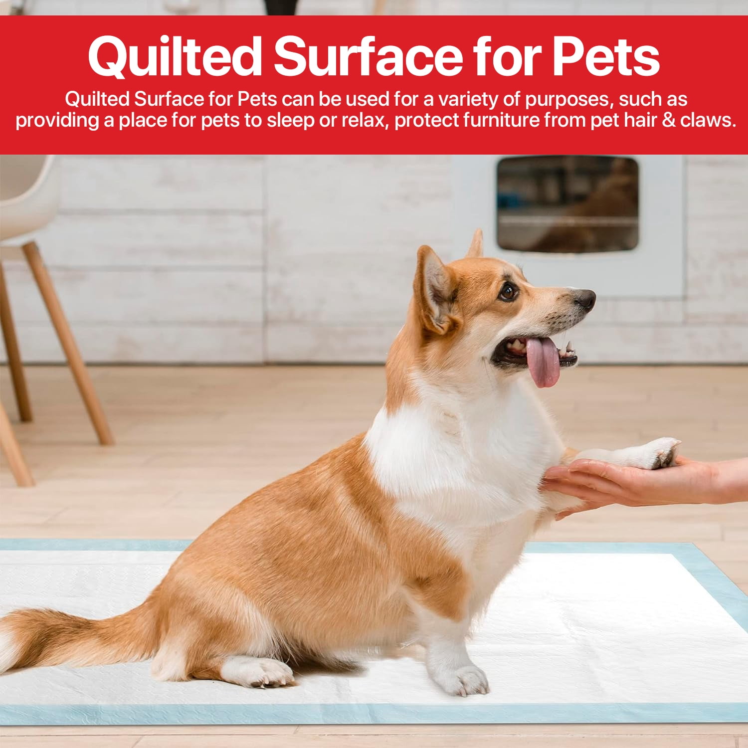 Absorbease Large Disposable Potty Training Puppy Pad, Heavy Absorbency Dog & Pet Pads, 23" x 36" 100 Count