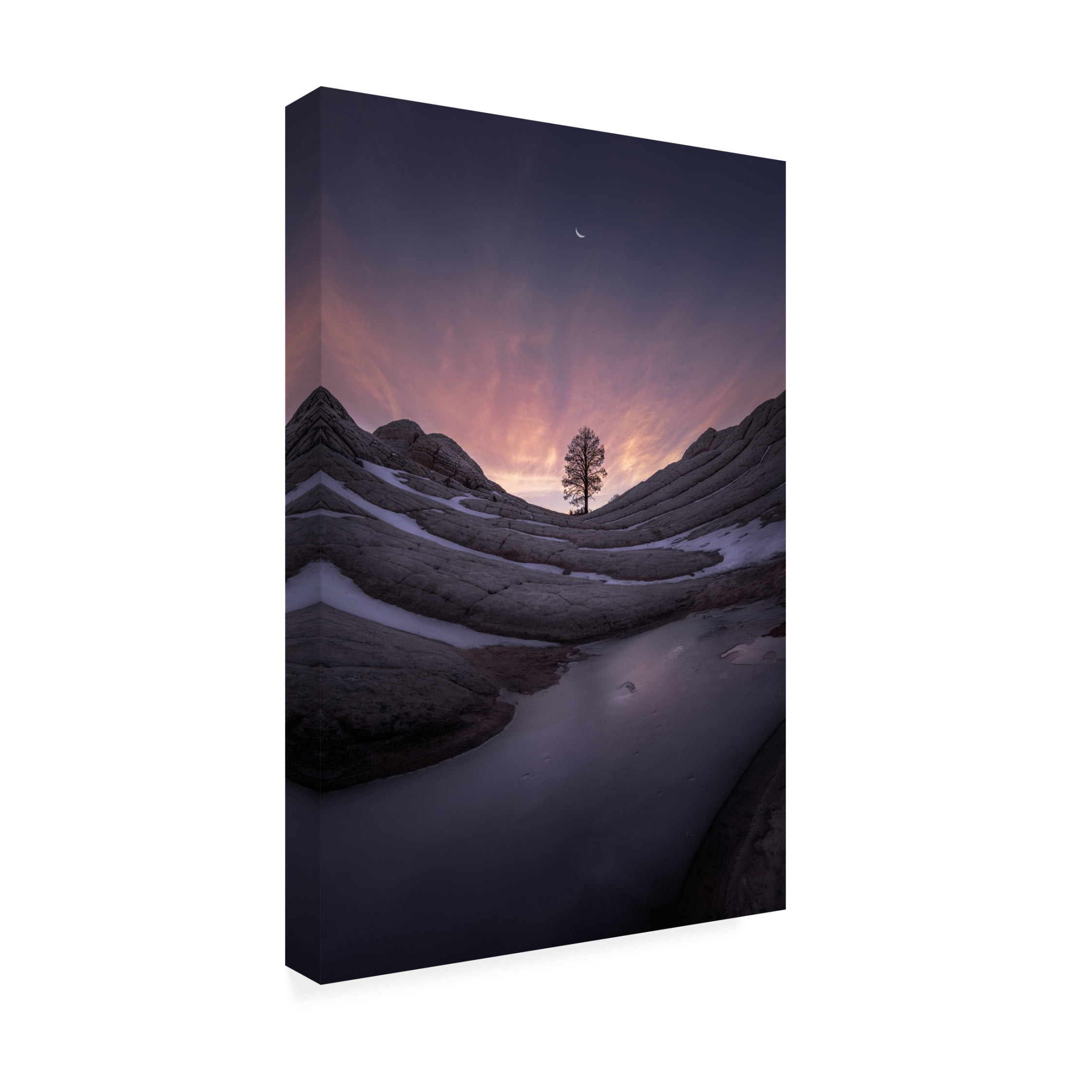 Trademark Fine Art Xiaopeng Guan Night Falls. Canvas Wall Art