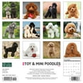 thumbnail image 2 of Just Toy & Miniature Poodles 2024 12 X 12 Wall Calendar (Other), 2 of 5