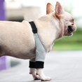 thumbnail image 4 of LAICAIW Dog Recovery Front Legs Sleeve Soft Padded Dog Elbow Brace Pet Leg Wounds Protector Dog Short Pants for Small Medium Dogs (M), 4 of 7