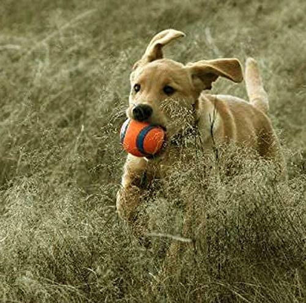 Chuckit! Dog Fetch Toy ULTRA BALL Durable Rubber Fits Launcher MEDIUM 4 Balls