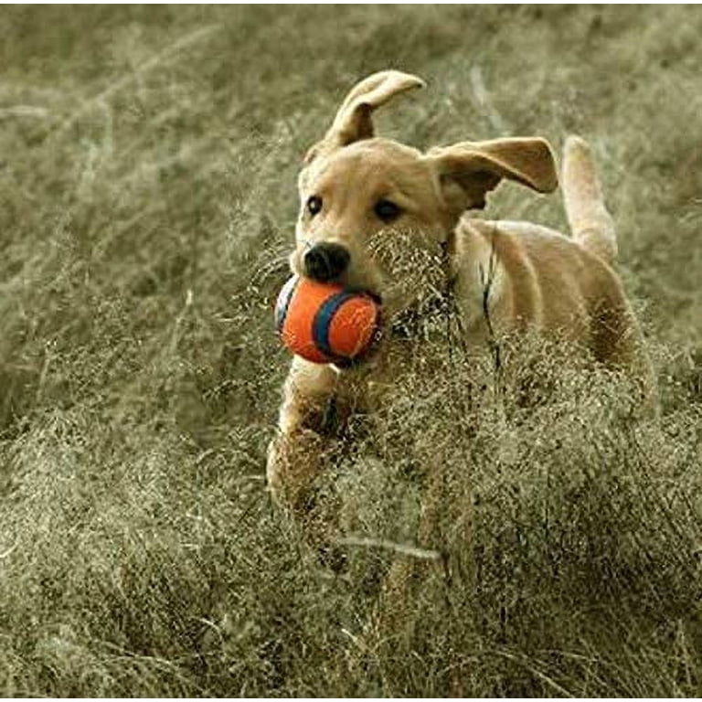Chuckit! Whistler Ball Dog Fetch Toy - Noisy, Durable, Fits Launcher (Medium, 8-Pack)