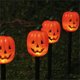 thumbnail image 2 of Luces de Jardín Fantasma Brillantes, Decoración para Fiestas (Arrastre 5), 2 of 3