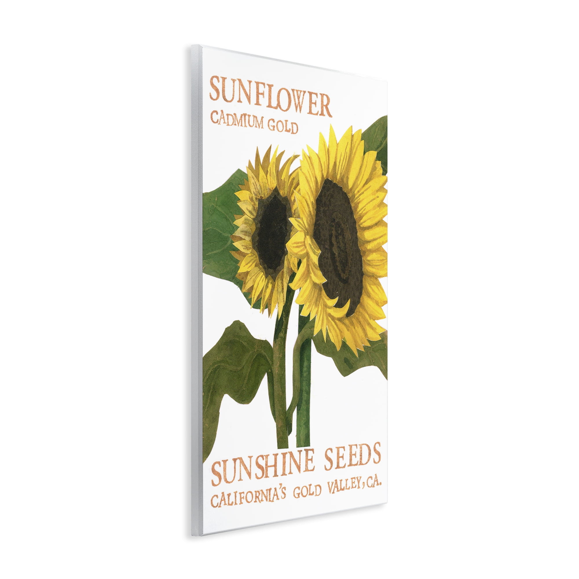 Stupell Industries Sunflower Seeds Design Typography Painting Unframed Art Print Wall Art, 10 x 15