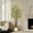 6FT(with light), variant on Artificial Eucalyptus Tree Indoor, 5FT/6FT/7FT Tall Fake Artificial Plant with White Planter,Large Faux Floor Plant Fake Silk Trees with 50 Lights Artificial Trees for Home Decor Indoor