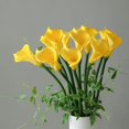 thumbnail image 2 of piezas de alcatraces artificiales amarillos de 25"/63 cm, flores artificiales con tallo largo y grueso, 2 of 5