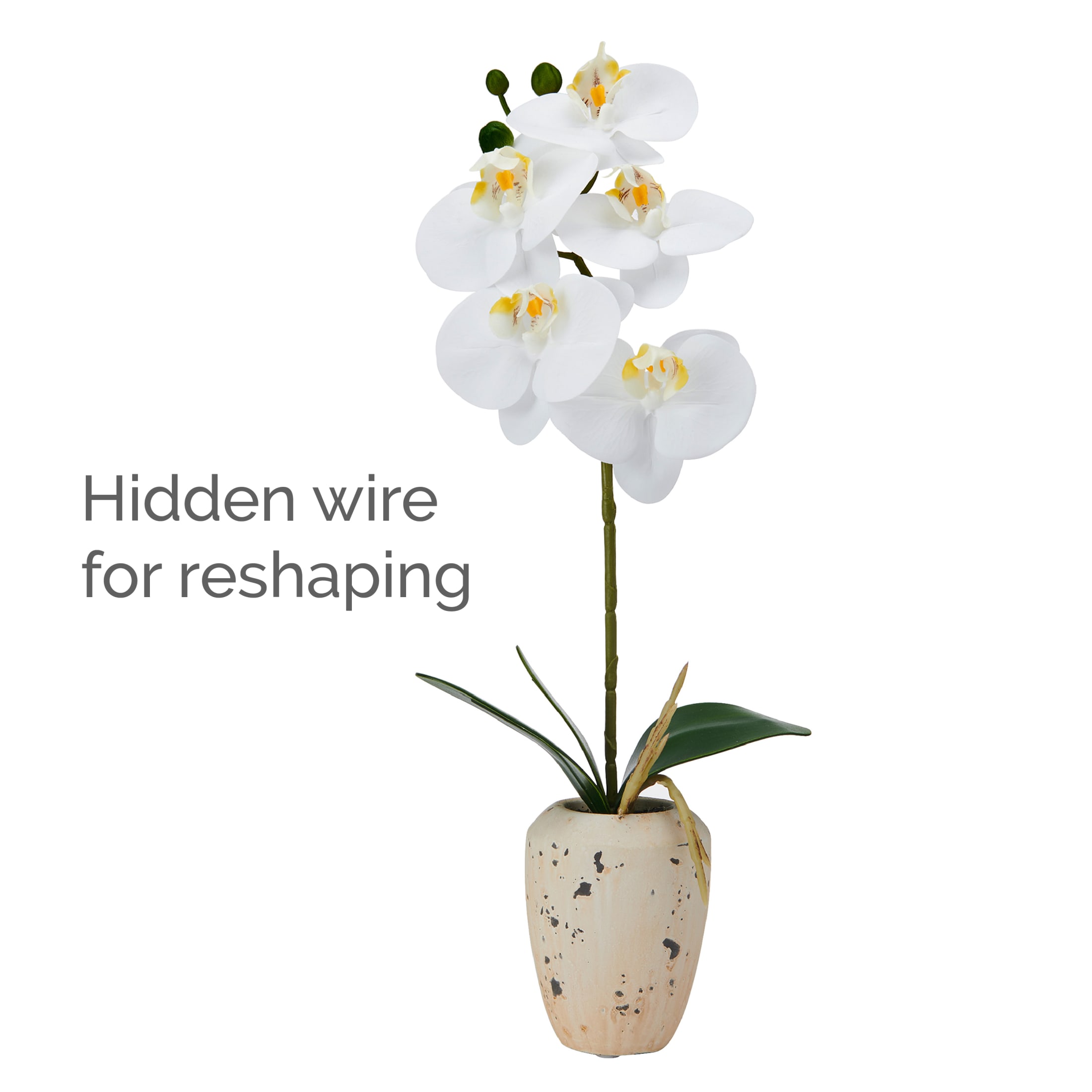 Home Accents 16-inch Artificial Real Touch Phalaenopsis Orchid in Faux Aged Cement Pot, White/Yellow