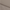 Brown, variant on Luxury Hotel Microfiber Tailored Style Bed Skirt with Classic 14 Inch Drop Length, Full, White
