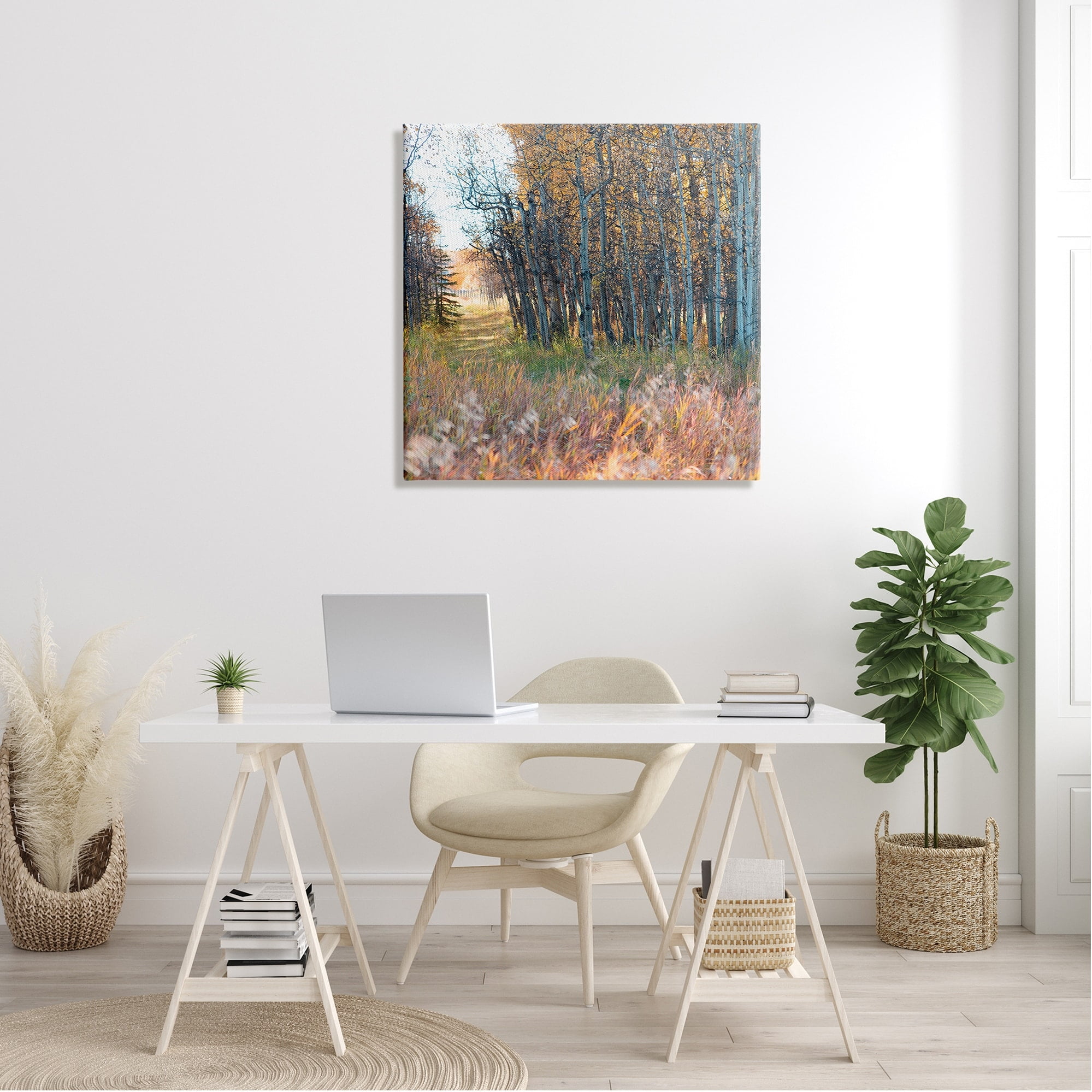 Stupell Industries Autumn Birch Trees Grassy Path Woodlands Photography Cabin Photography Gallery-Wrapped Canvas Print Wall Art, 30 x 30, Design by Carol Robinson