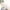 white, variant on Small Dog Sweater Clearance Knitted Sweaters Turtleneck Classic Cable Knit Jumper Coat Warm Sweartershirts Outfits Dogs Cats In Autumn Winter Doggie