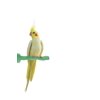 Sweet Feet and Beak Thermal-Lite Natural Patented Perch- Perfect for Keeping your Bird's Feet and Beaks Healthy