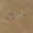 A2-1Pair, variant on Korean Style Butterfly Ear Bone Nails Fashion Simple Twist Screw Small Ear Studs-A3-1pcs