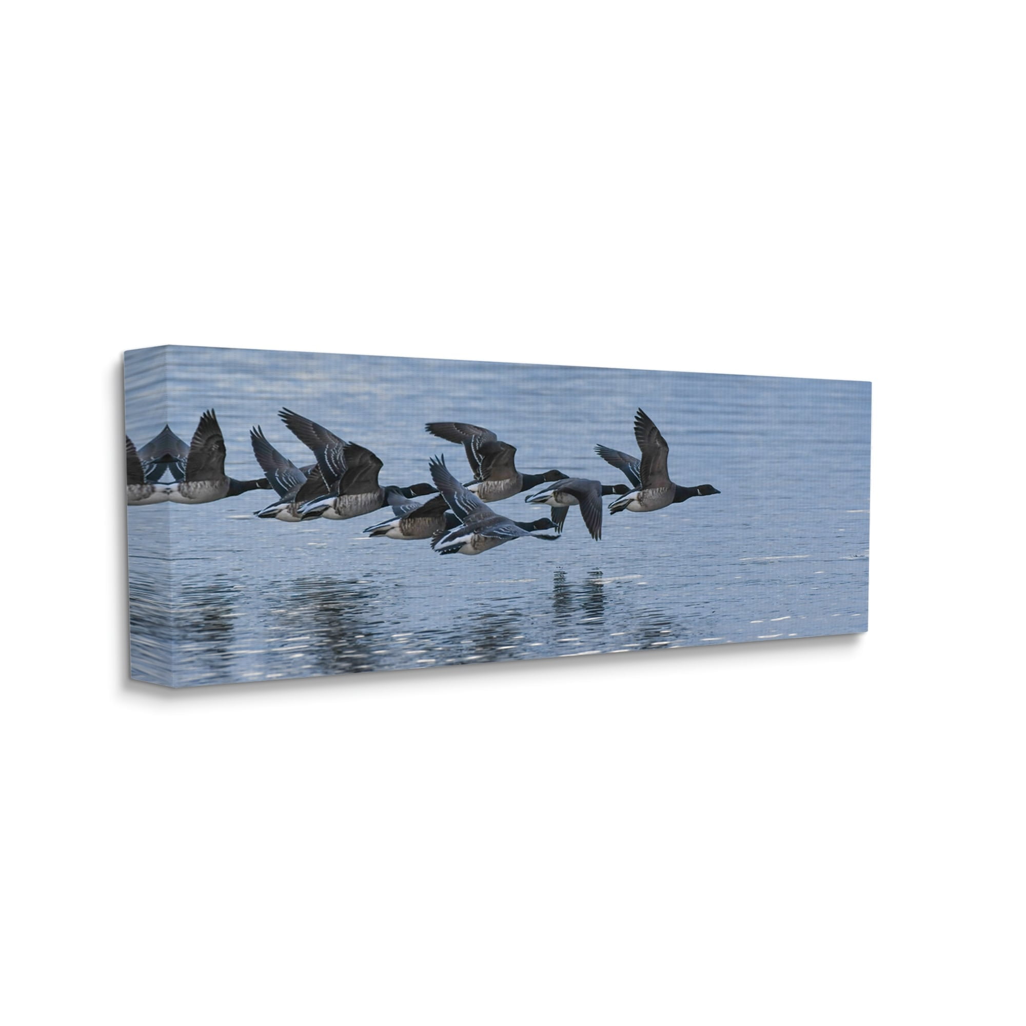 Stupell Industries Flying Geese Wings Flapping Calm Ocean Water Canvas Wall Art, 40 x 17, Design by Amy Brinkman