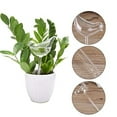 thumbnail image 3 of Cheers US Plant Waterer Self Watering Bird Shape Hand Blown Transparent Mini Durable Clear Glass Bulbs, 3 of 7