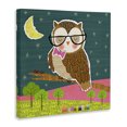 thumbnail image 3 of Stupell Industries Contemporary Wise Owl on Branch Canvas Art, 30 x 30, by Tina Finn, 3 of 8