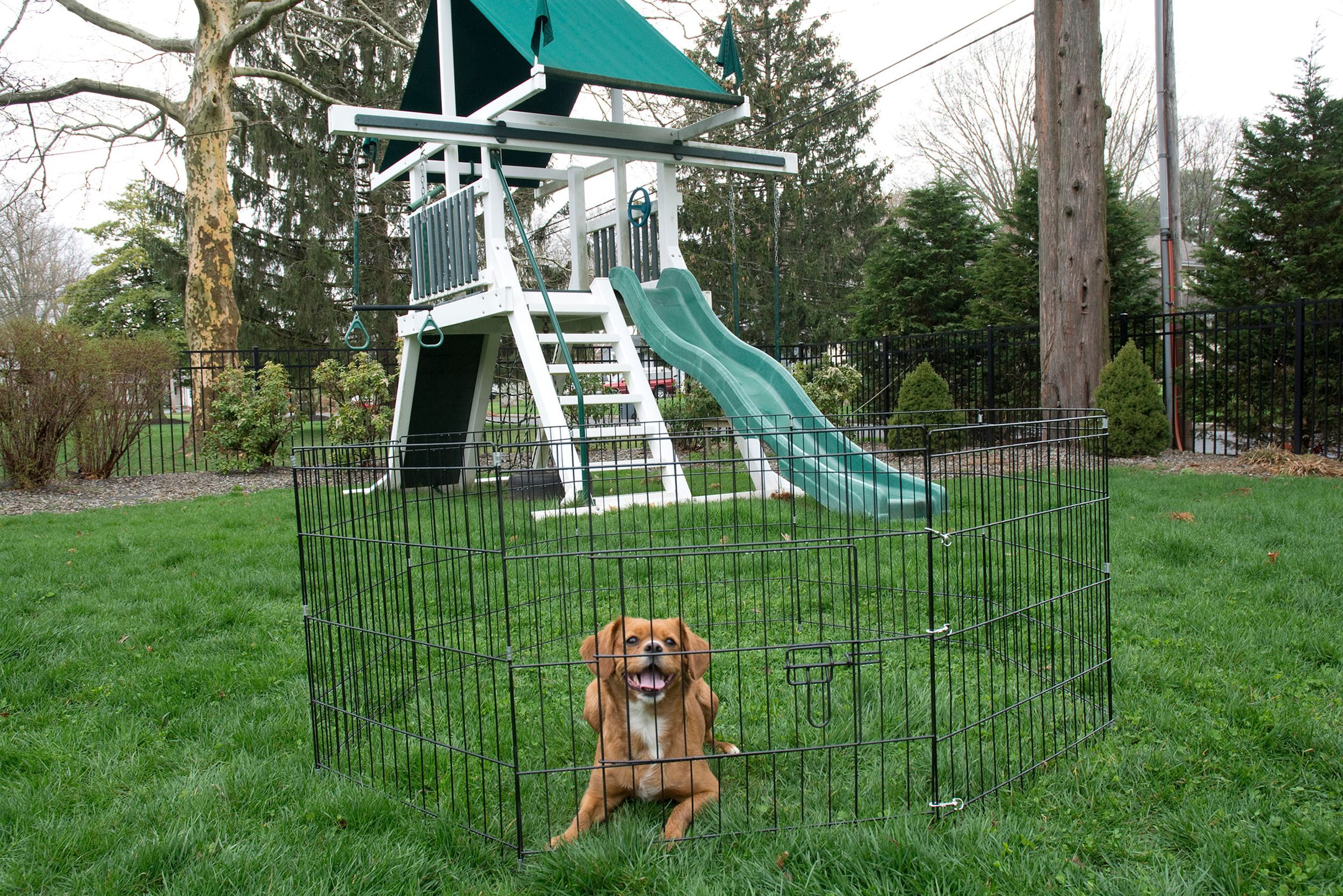 Iconic Pet - Octagon Eight Panel Portable (Foldable) Pet Dog Cat