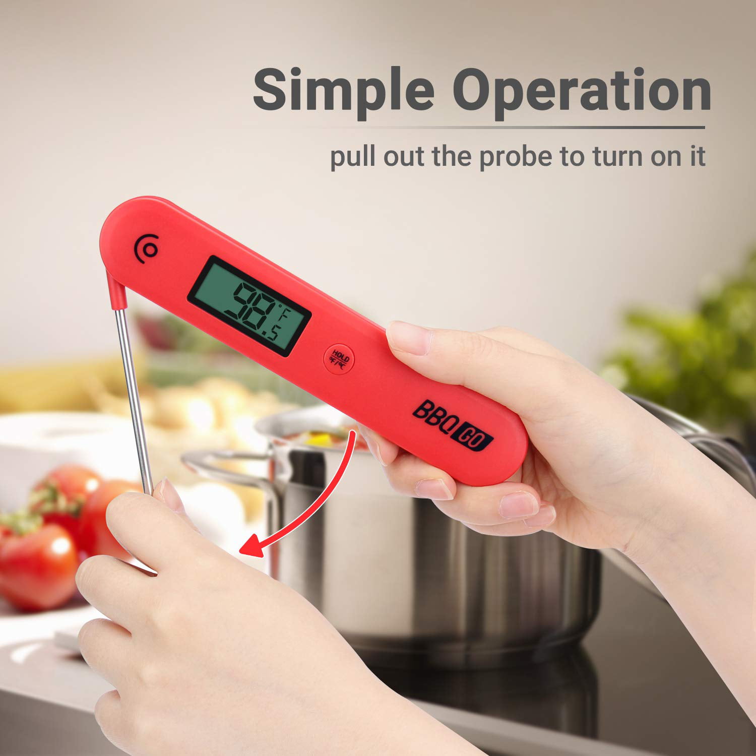 BBQGO Instant Read Meat Thermometer for Cooking, 3 in 1 Waterproof Digital  Food Thermometer BG-HH2P with 2 Detachable Wired Probe, Backlight, and
