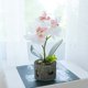 thumbnail image 4 of Gwong Decoración hogareña Flor artificial Mariposa Orquídea Pot Bonsai Garden DIY Fiesta Decoración de muebles Gwong 21041043, 4 of 7