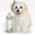 thumbnail image 4 of Paws & Pals Dog Shampoo for Pets - 100% Natural Probiotics + Rosemary + Aloe Vera - Itch Relief and Odor Control, 4 of 4